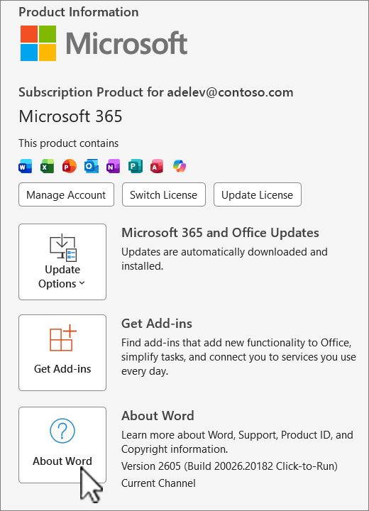 Screenshot that shows the version view of Office 365.