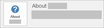 Screenshot of About Office button for an MSI installation. It doesnt include a version or build number