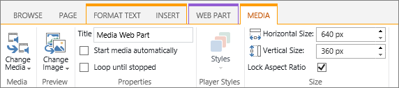 Media tab on edit ribbon