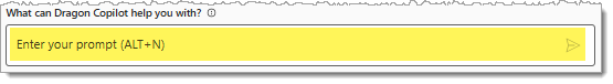 Screenshot of the Copilot Chat field.