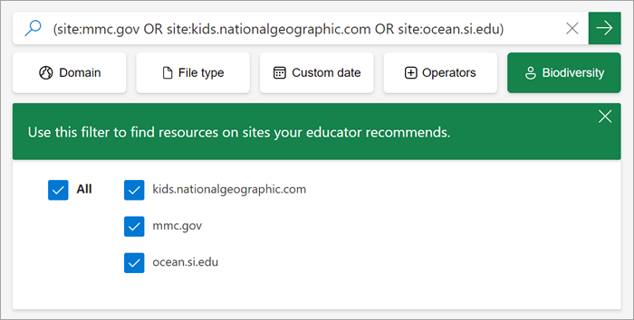 screenshot of how the custom filter appears to students when it is on.