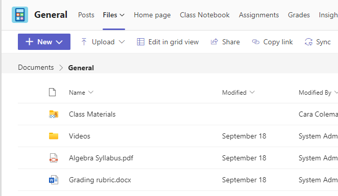 Screenshot that shows Files tab showing class materials and shared files.