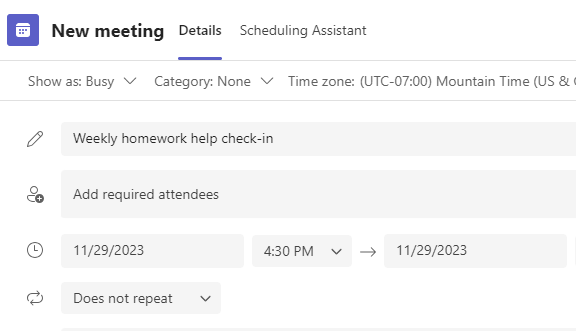 Screenshot of new meeting.