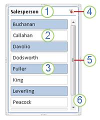 Screenshot of PivotTable slicer elements.