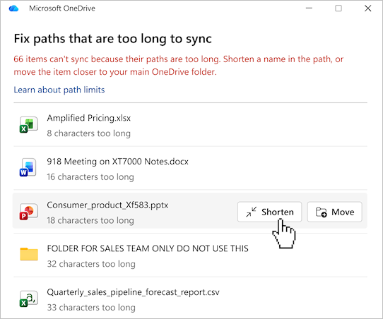 Screenshot showing the list of OneDrive file paths.