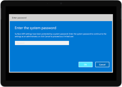 Shows a blue screen that says Enter the system password. There's a box to enter the password, and below that, there are OK and Cancel buttons.