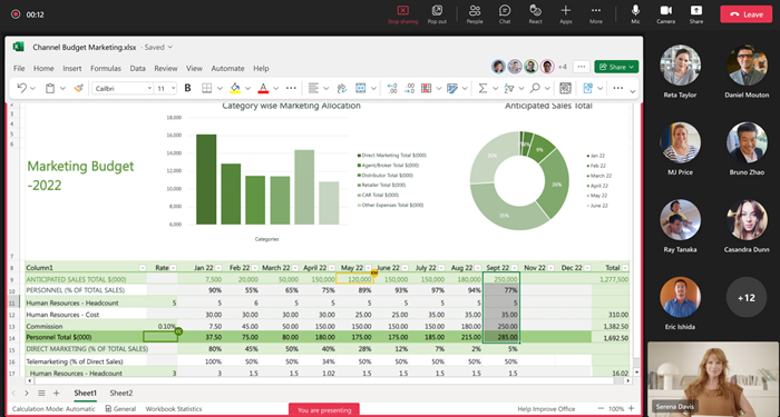 Screenshot of presenter (sharer) screen during Excel Live session in Teams.